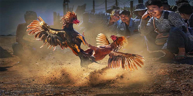 vin7777 xổ số bữa nay