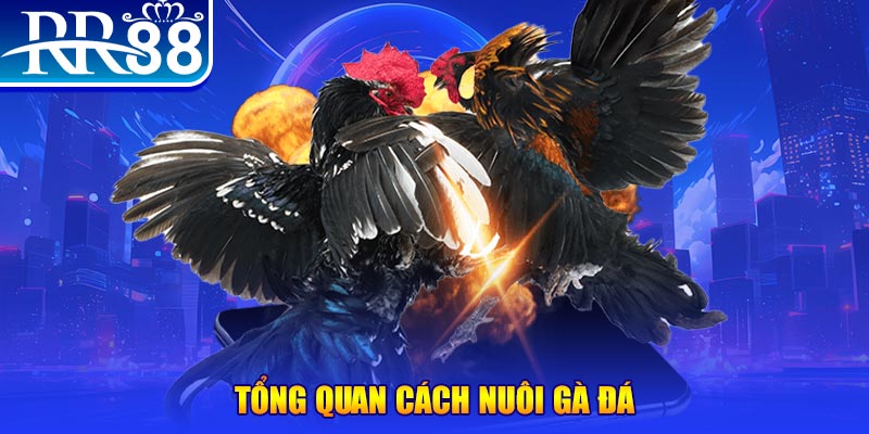 vin7777 game nổ hũ rút tiền mặt là gì
