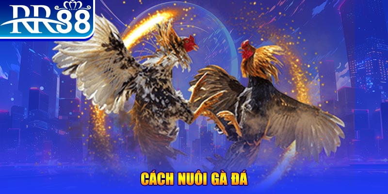 vin7777 đăng nhập phỏm đổi thưởng