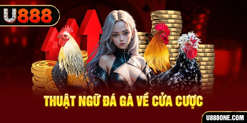 vin7777 hơn cả bạn bè