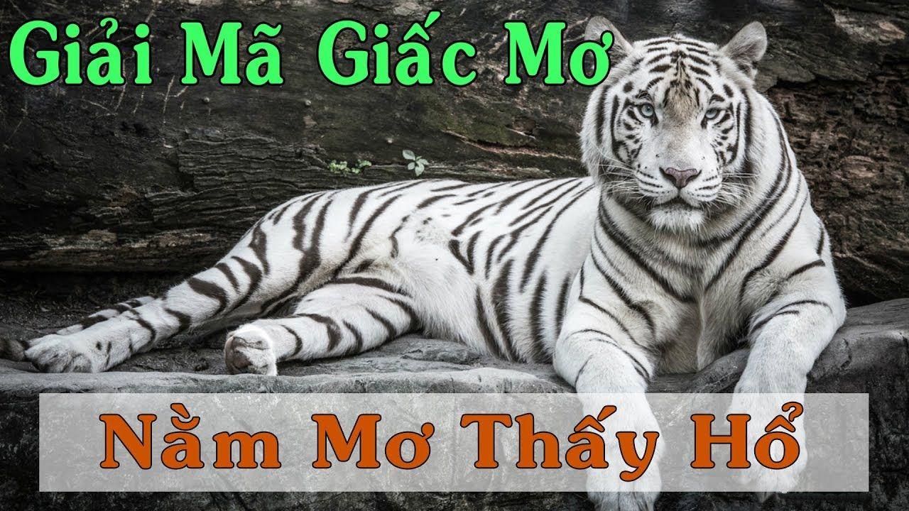 vin7777 nổ hũ là game gì