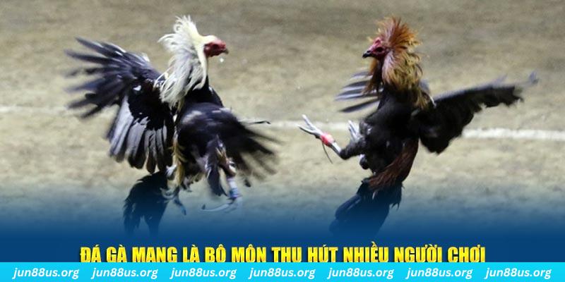 vin7777 nổ hủ nghĩa là gì