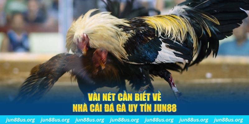 vin7777 đăng nhập phỏm khuyến mãi