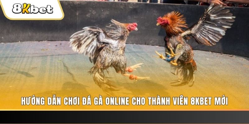 vin7777 JILI Game Bài 3d