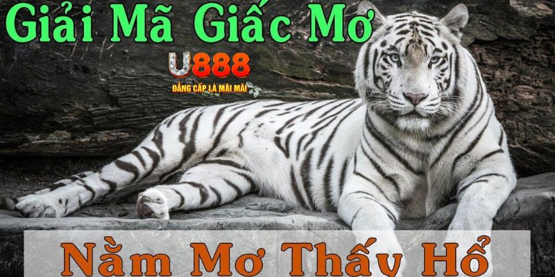 vin7777 xổ số miền bắc xổ số miền bắc