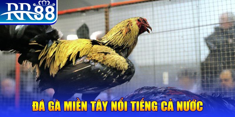 vin7777 xổ số đại phát