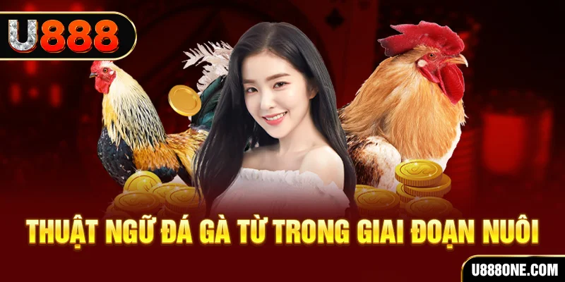 vin7777 xổ số miền bắc 90 ngày