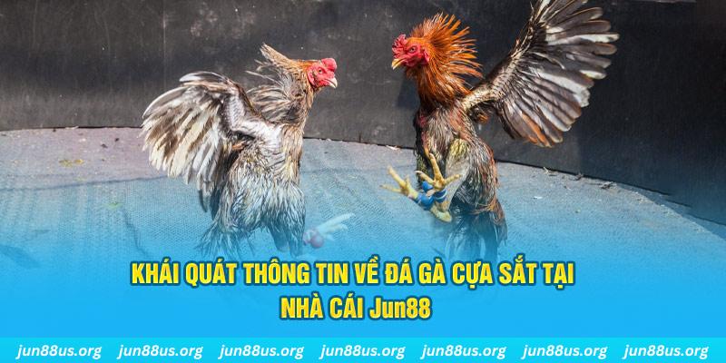 vin7777 xổ số miền bắc thứ bảy hàng tuần