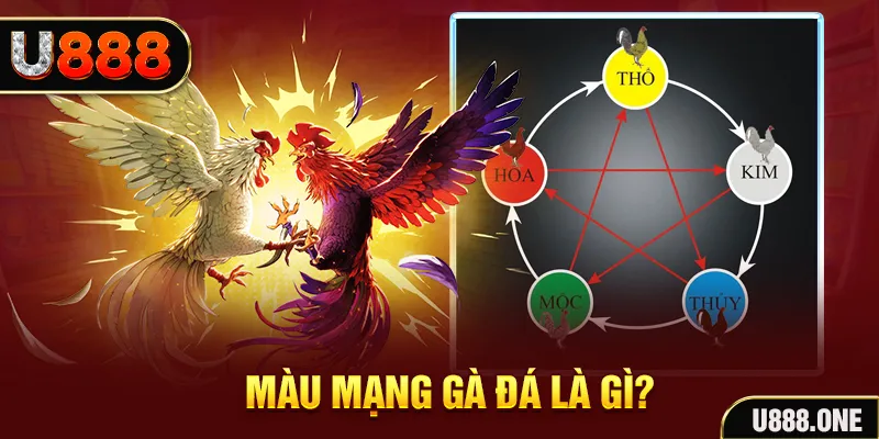 vin7777 xổ số miền trung thứ tư hàng tuần