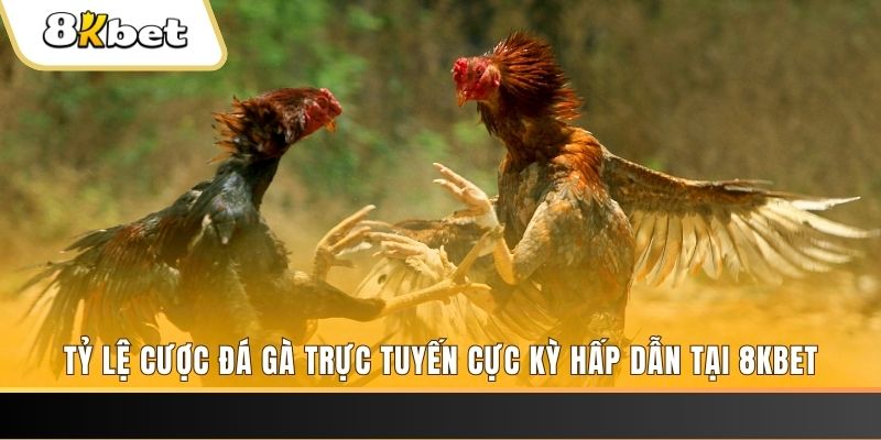 vin7777 đăng nhập mậu binh online