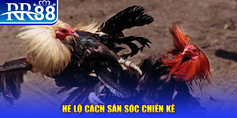 vin7777 xổ số miền trung thứ tư