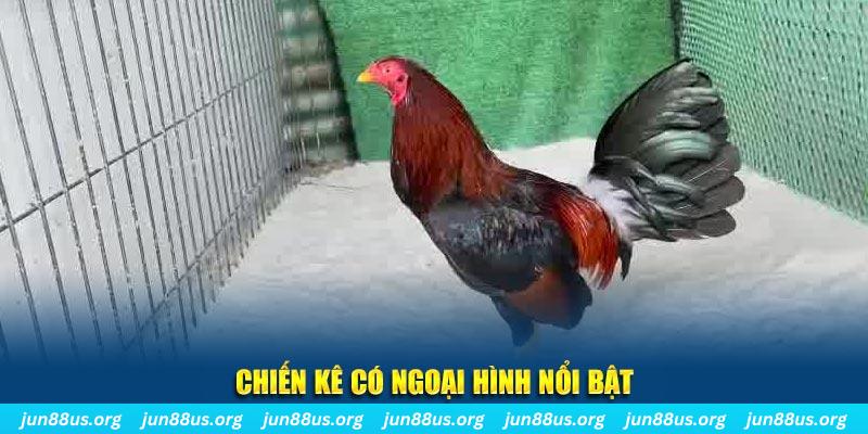 vin7777 game bắn cá