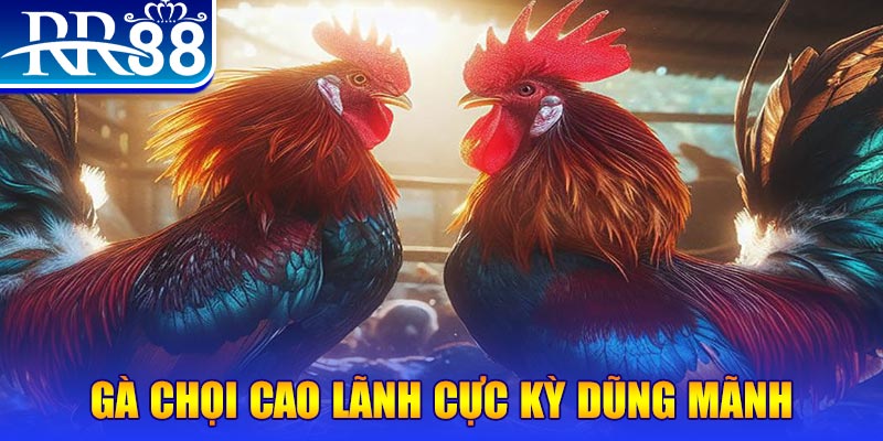 vin7777 HB Điện Tử